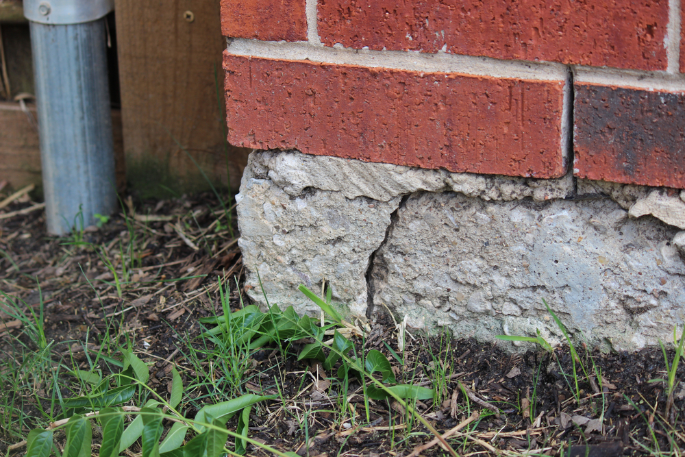 Crack in foundation pest entry